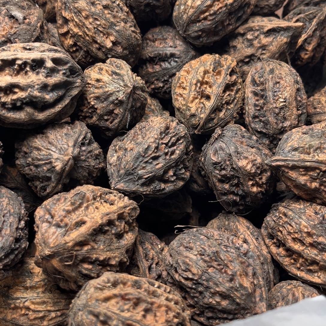 手串文玩核桃核桃52