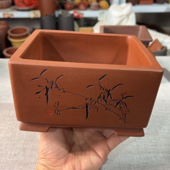 【闪购商品】我*视内扣16内高8