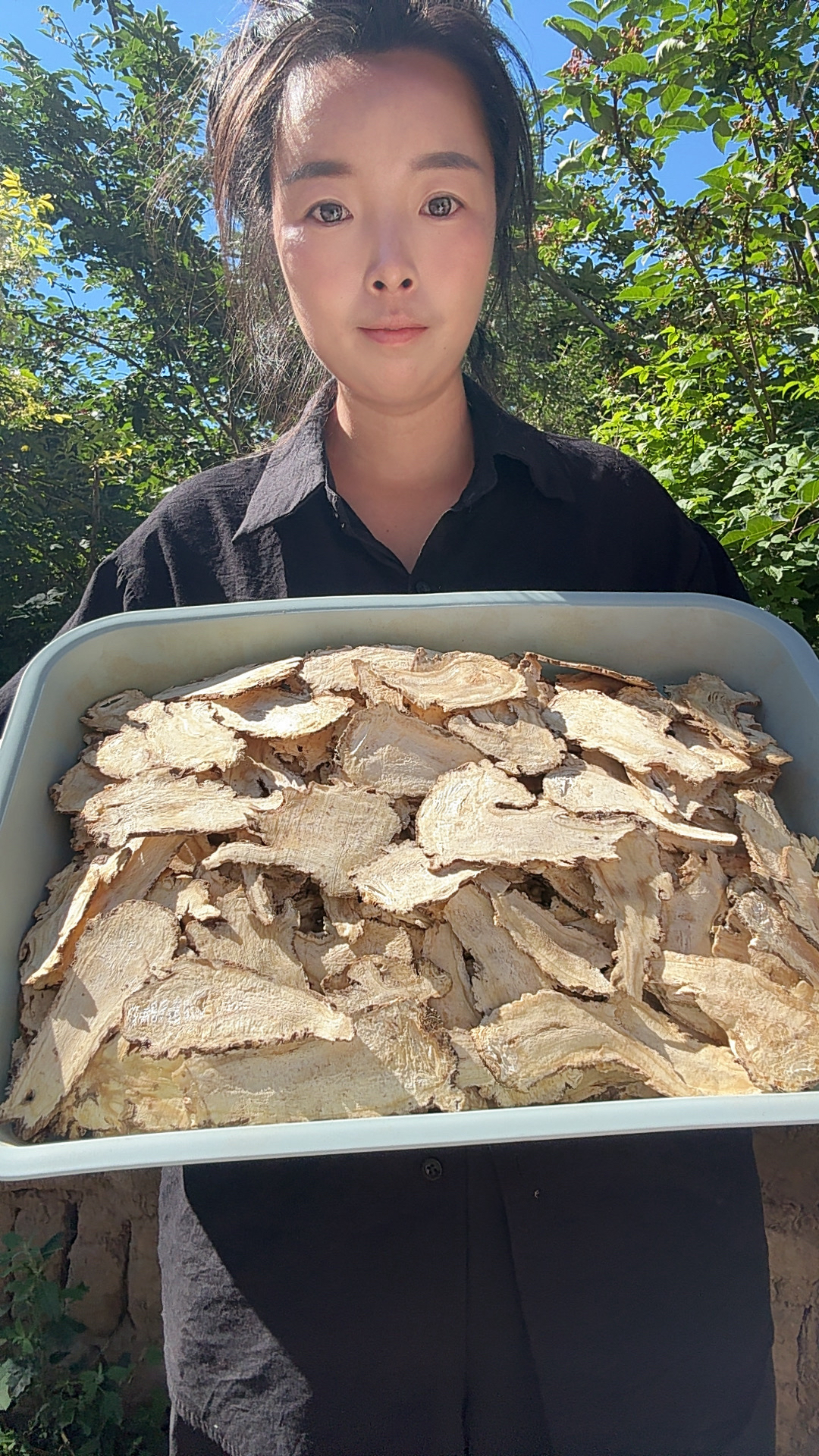 （当归头片）岷县原产地精选，油性足，含量高大片当归，