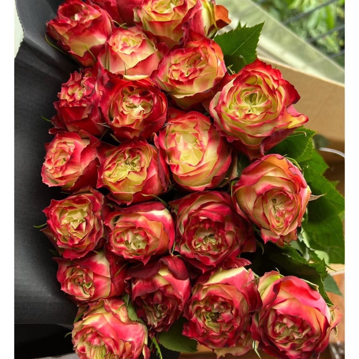 鲜花   裸花价  苹果捷克运损20%不售后