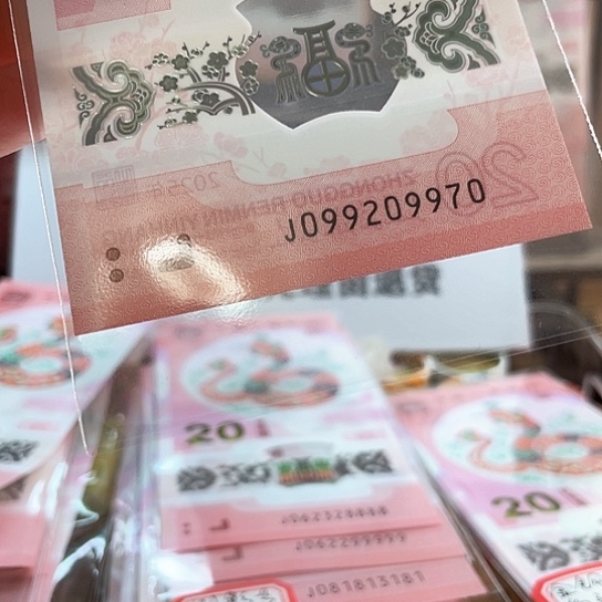 塑料小蛇钞099209970 循环号