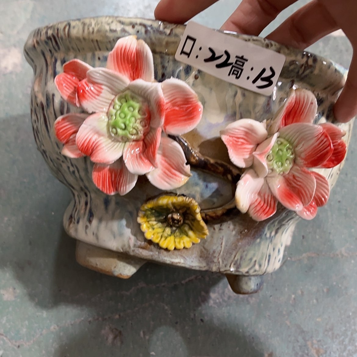 【闪购商品】红陶福利