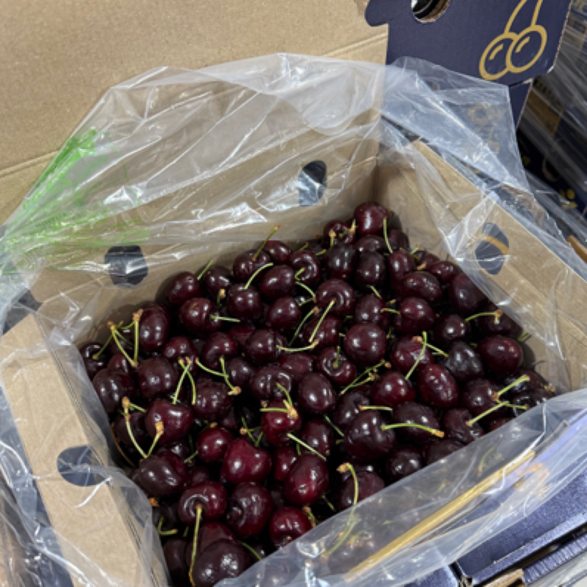 智利车厘子3J约5斤