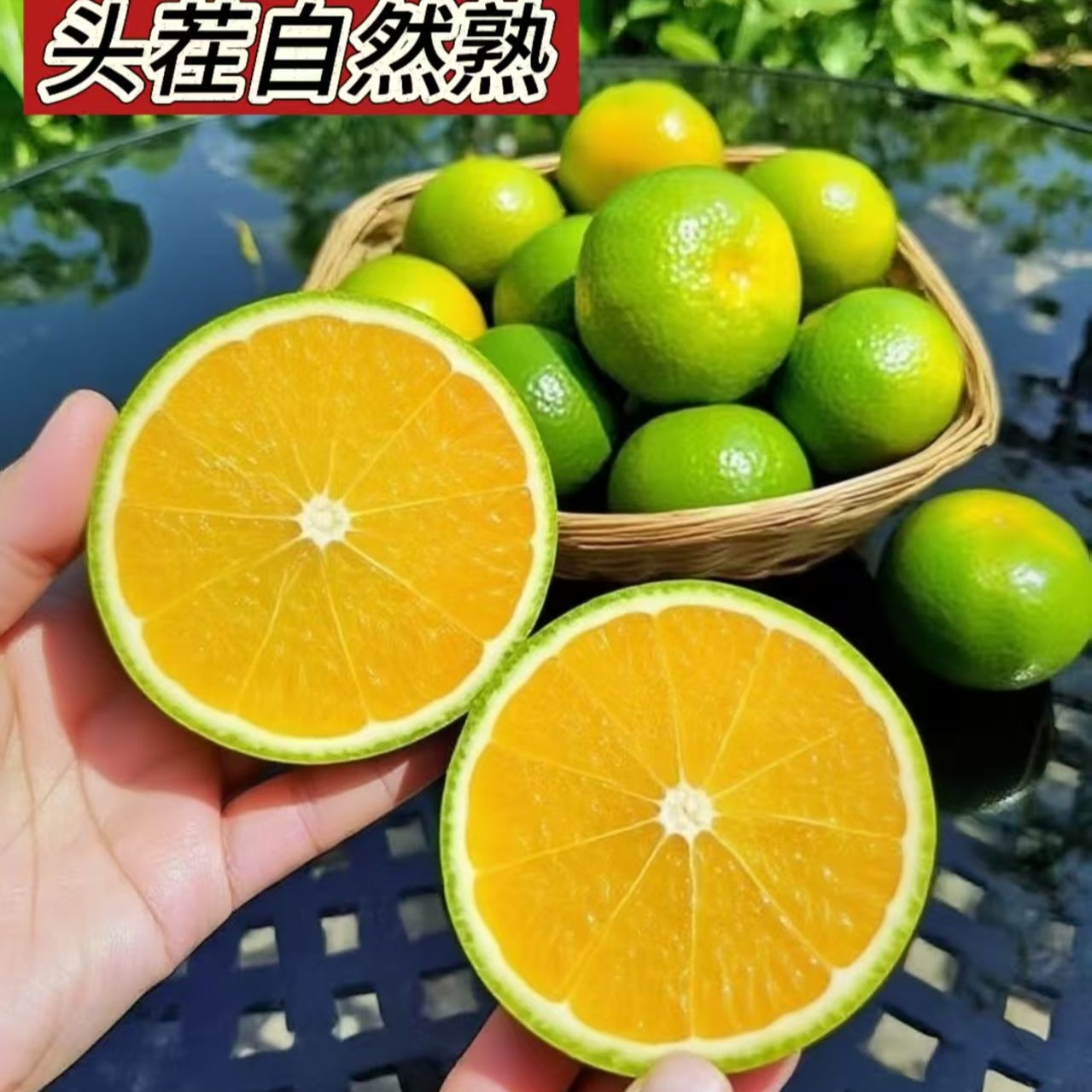 【龙橙】云南哀牢山冰糖橙当季新鲜水果青皮清甜多汁皮薄肉厚