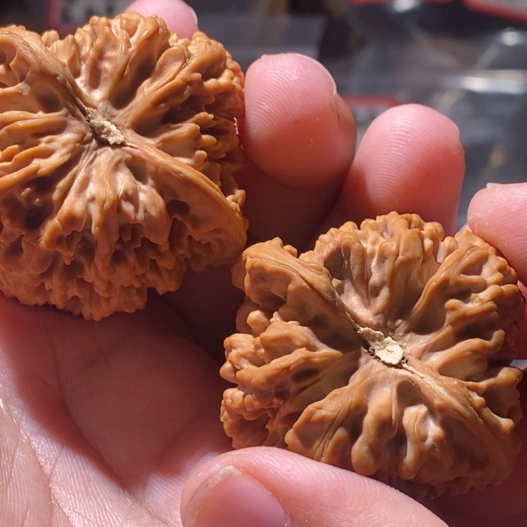 赛***黑文玩核桃吊坠43全品满天星