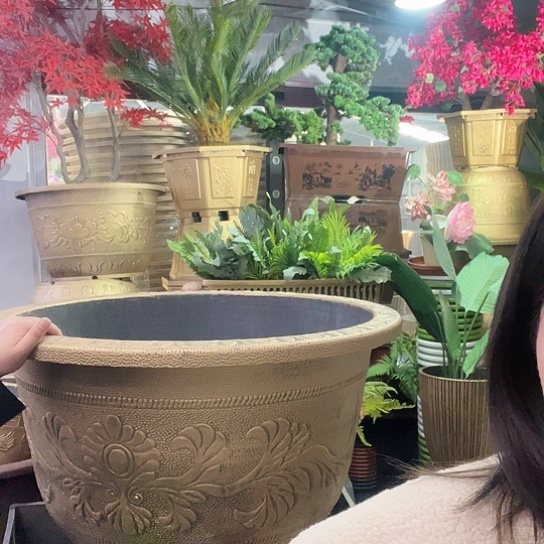 复合盆景468766578876