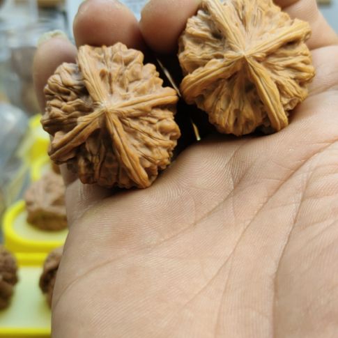 木质类玉玺四棱核桃，