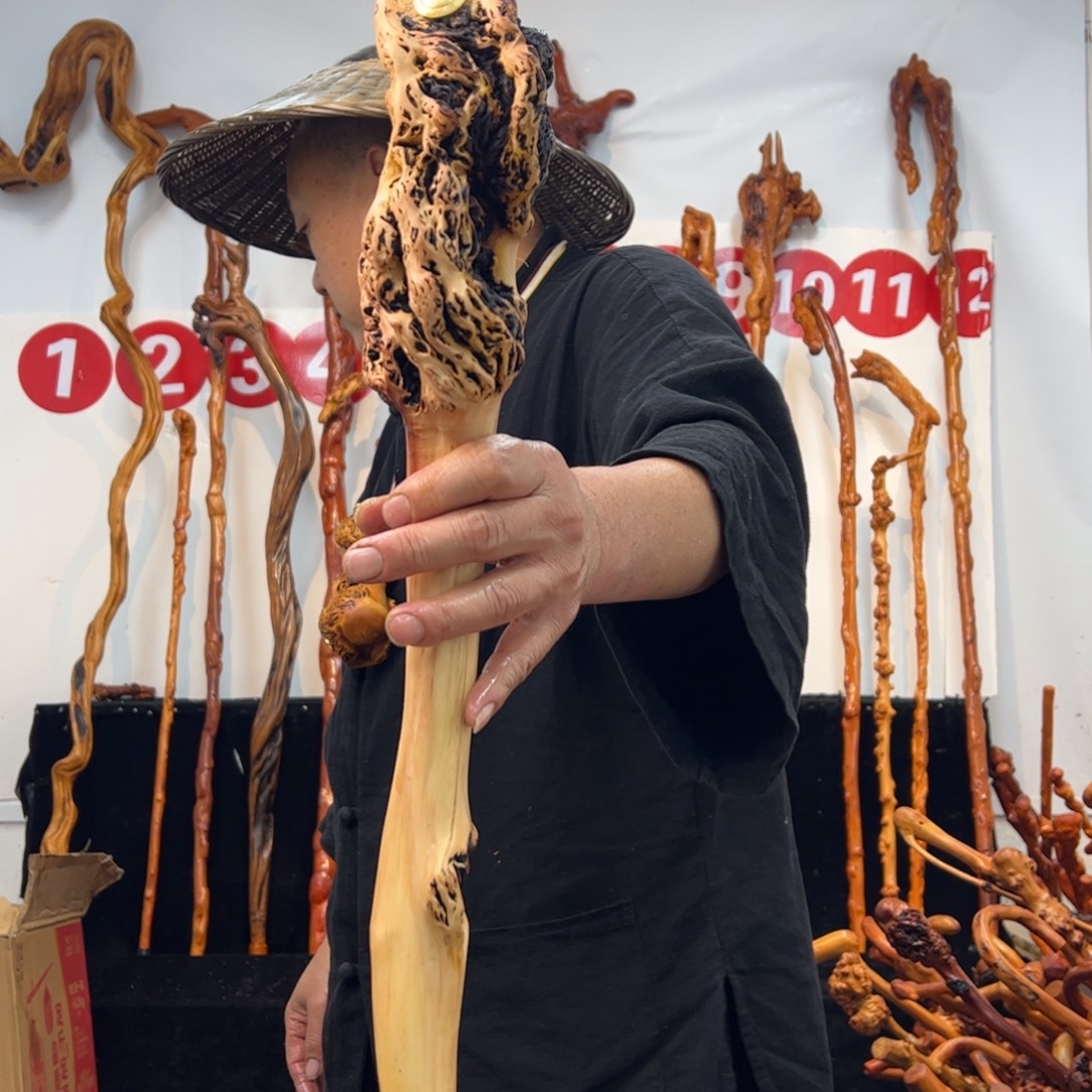 其他黑果木黑果木279