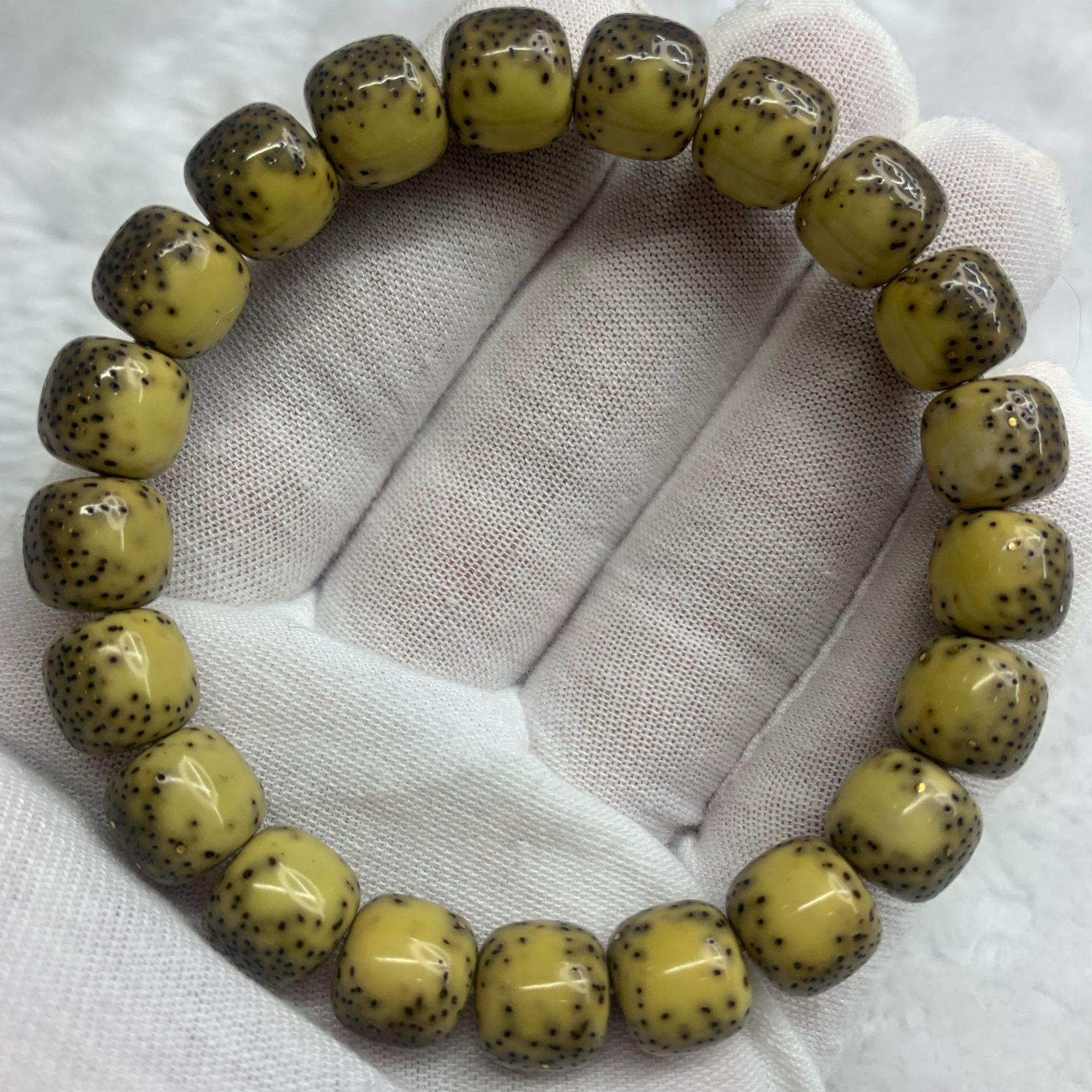 含星星月菩提11河豚