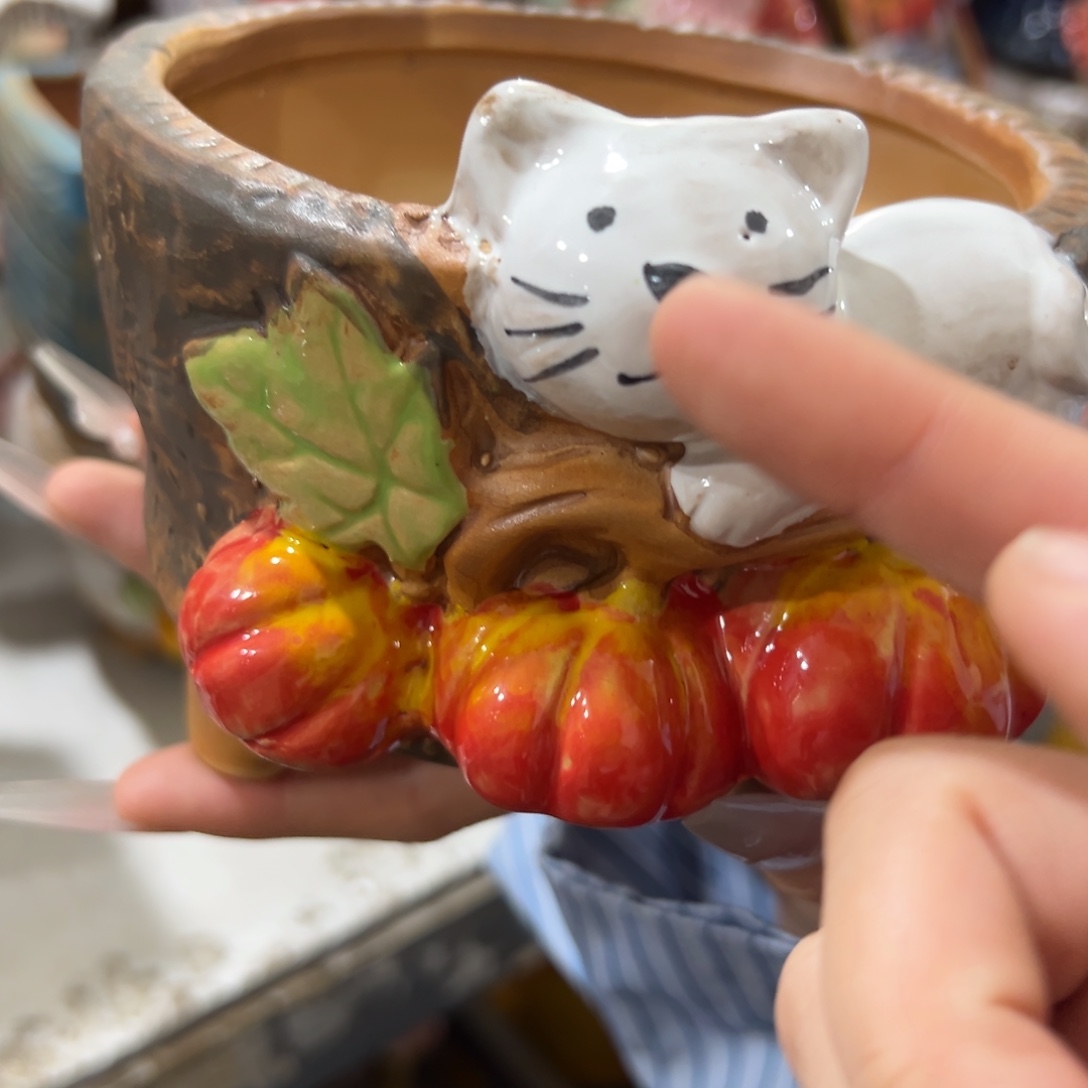 满20发多肉花盆爱退拉黑