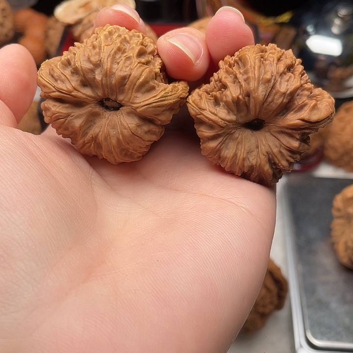 木质龟背大凹底黄金甲40-41