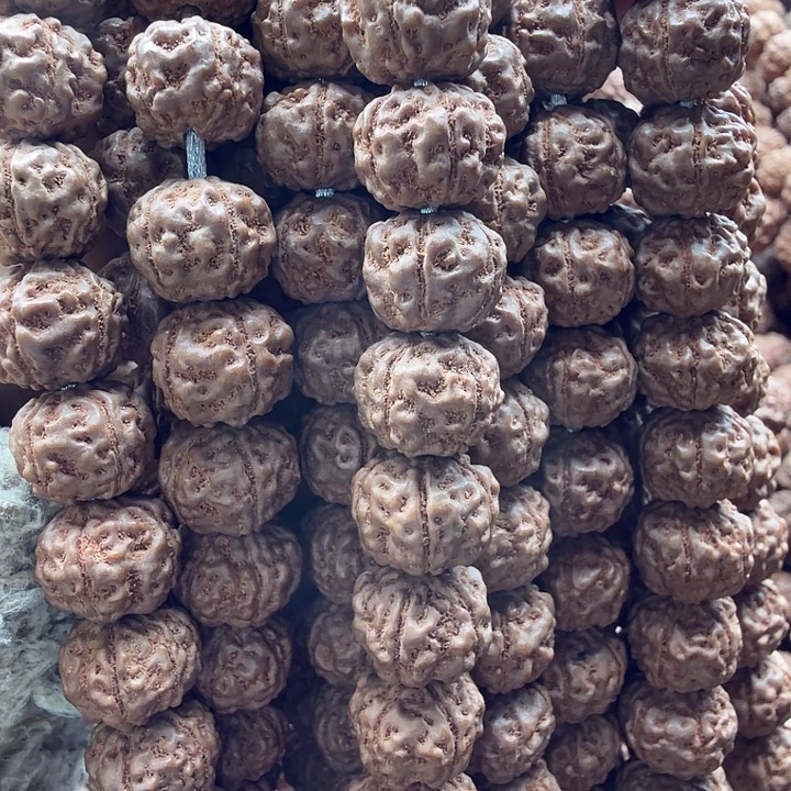 金刚菩提吊坠老树梅花10.5-11左右