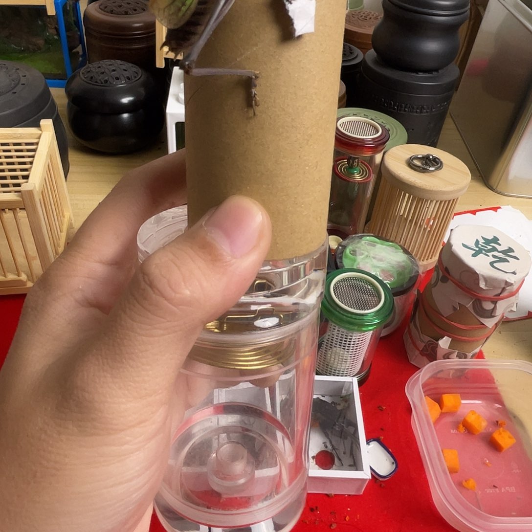 福利蝈蝈，加亚克力罐子