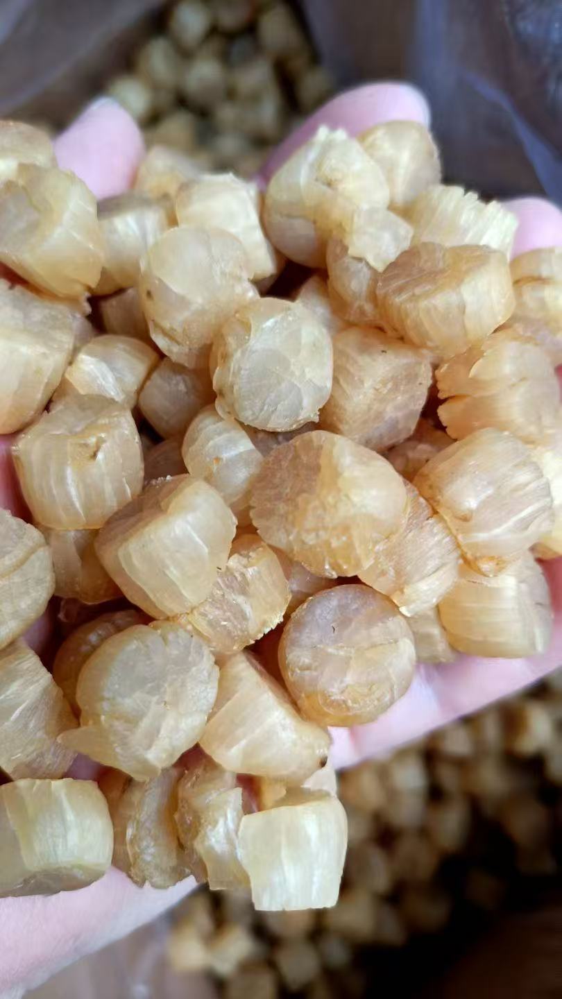 大连本港元贝瑶柱淡干鲜甜美味煲汤靓材