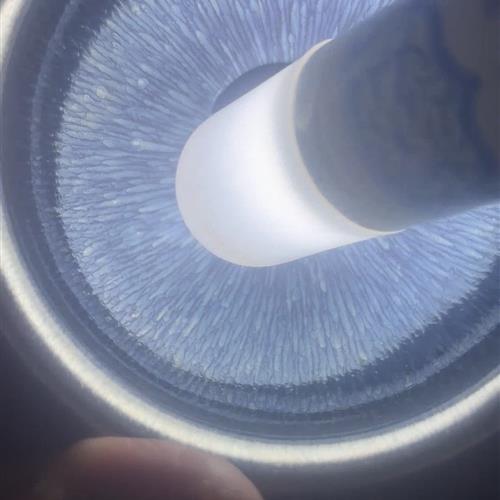 【闪购商品】茶盏-148............