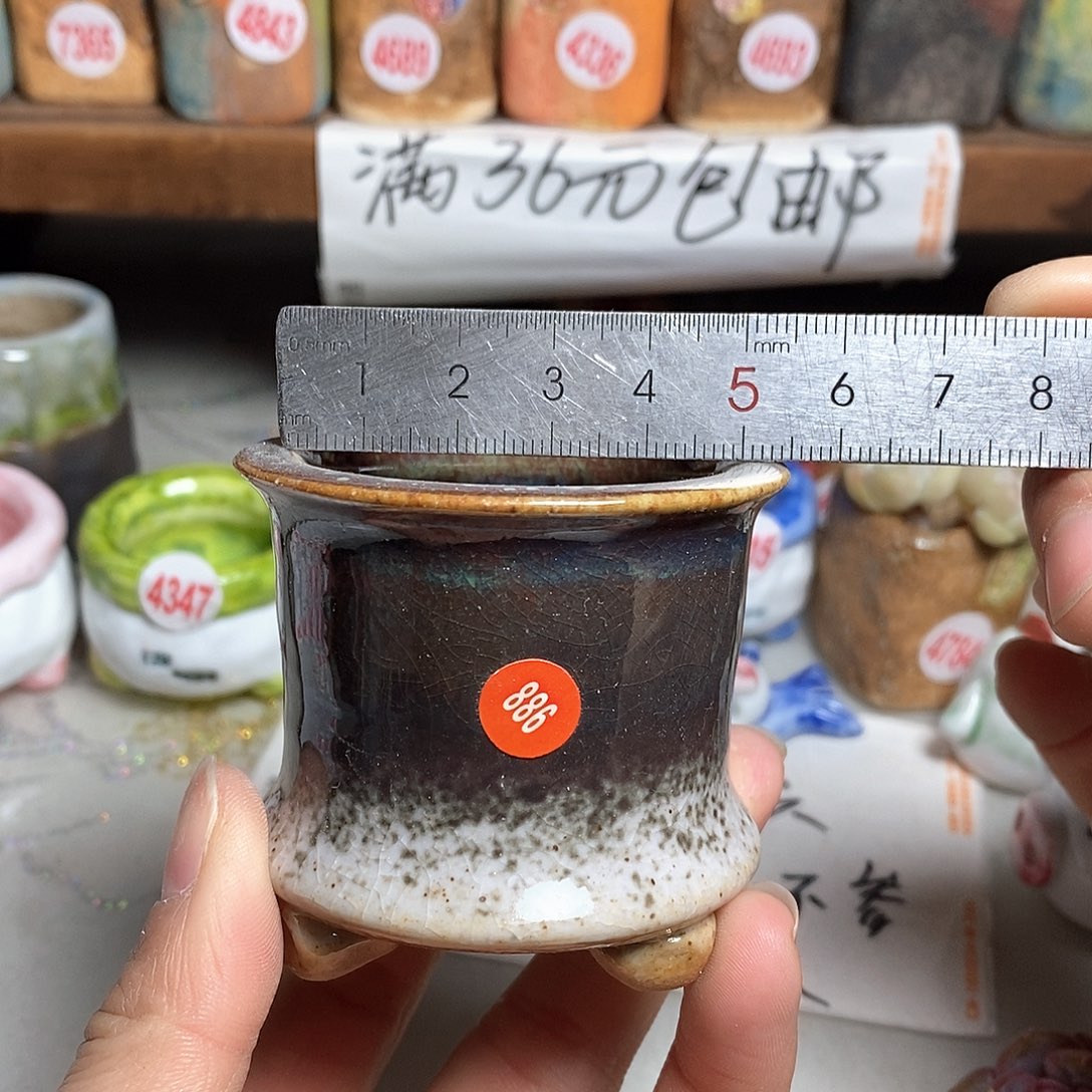 红陶拍5送一个小