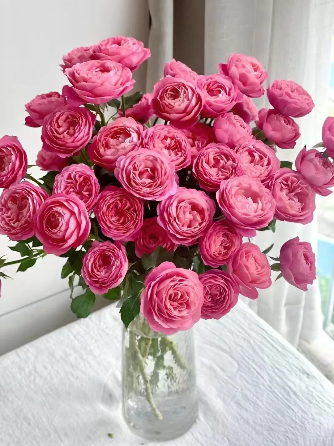 (曼）多头玫瑰胭脂公主8支+2支防损鲜花任意满2单包邮