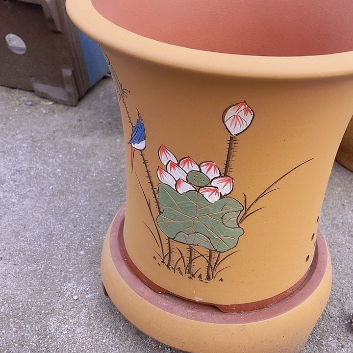 紫砂哈哈哈哈哈哈a10