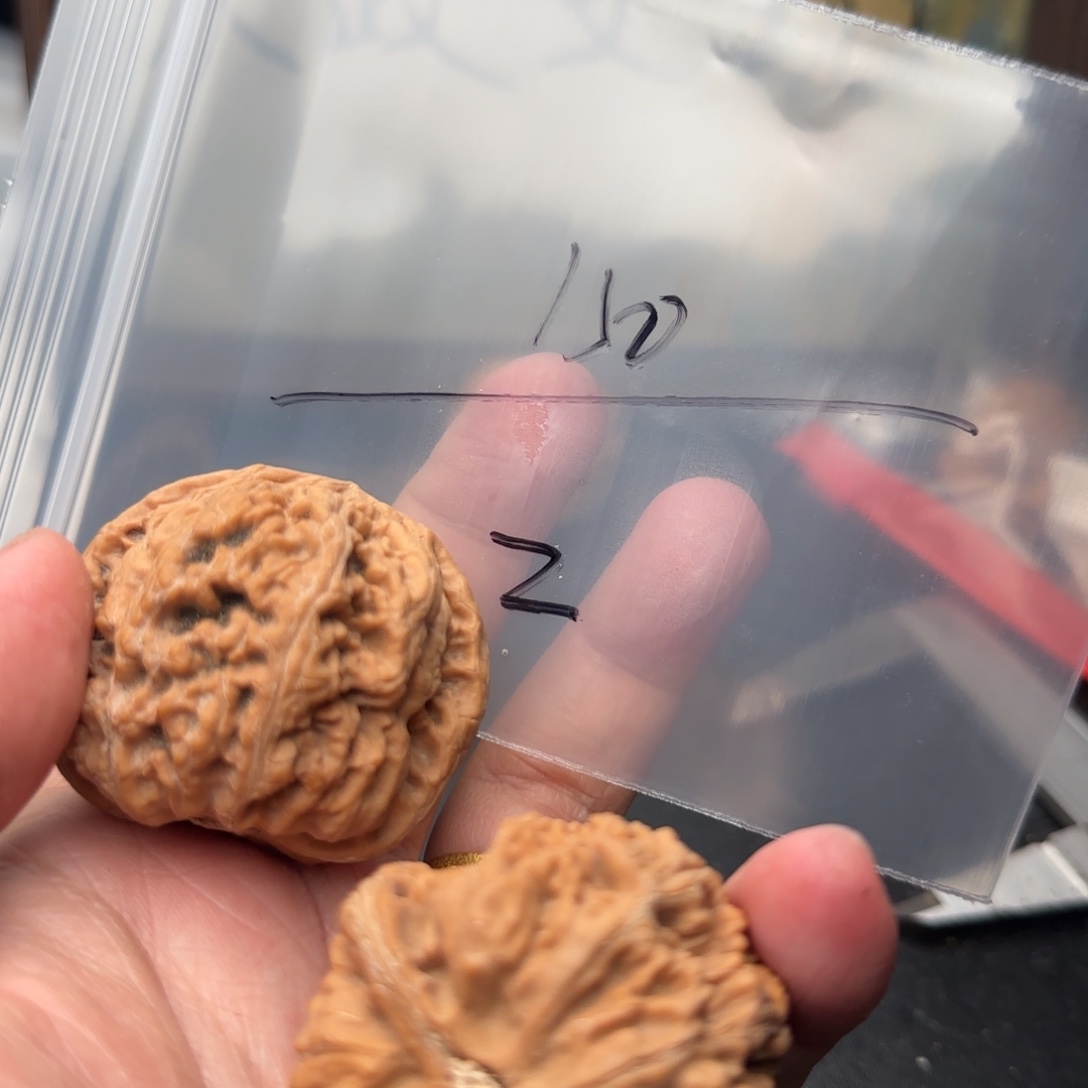 ****Z吊坠文玩核桃150大粗筋