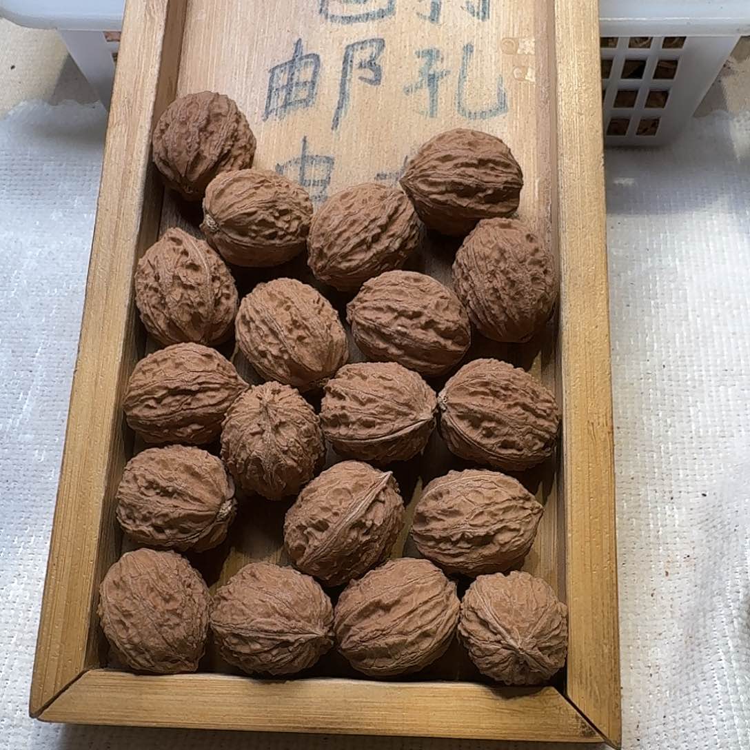 核桃手串/手链15号边23手持