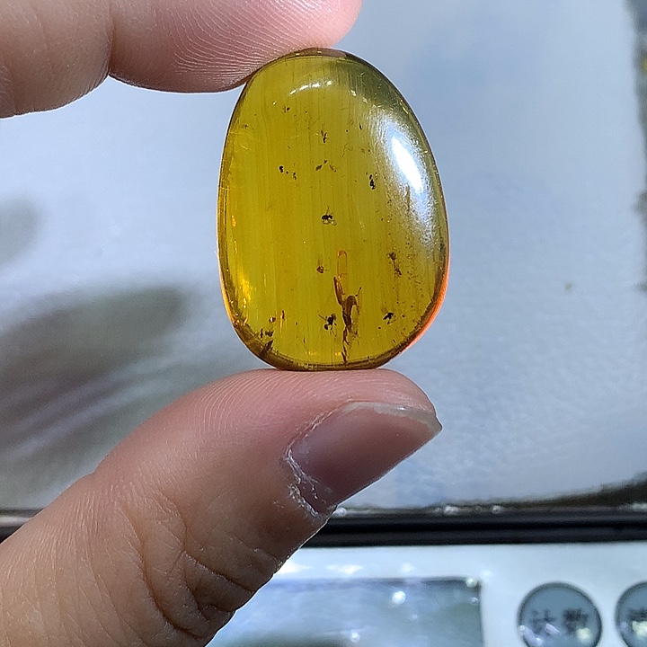 未镶嵌颈饰琥珀虫窝吊坠