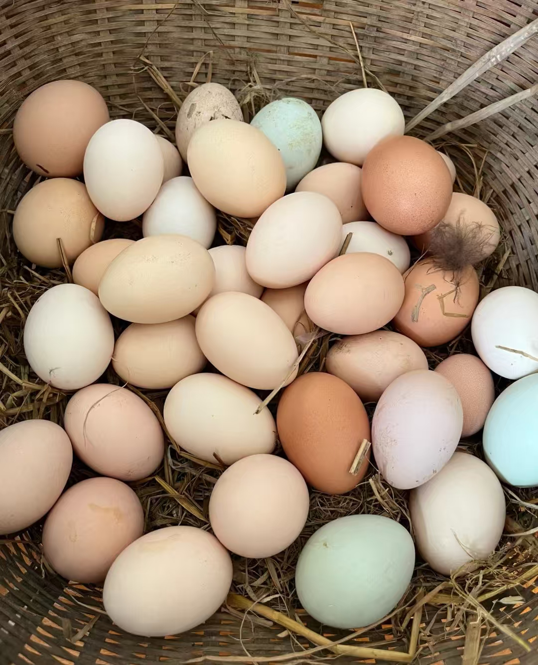 【顺丰包邮】云南乡村散养土鸡蛋 有大有小尽快食用坏一赔一