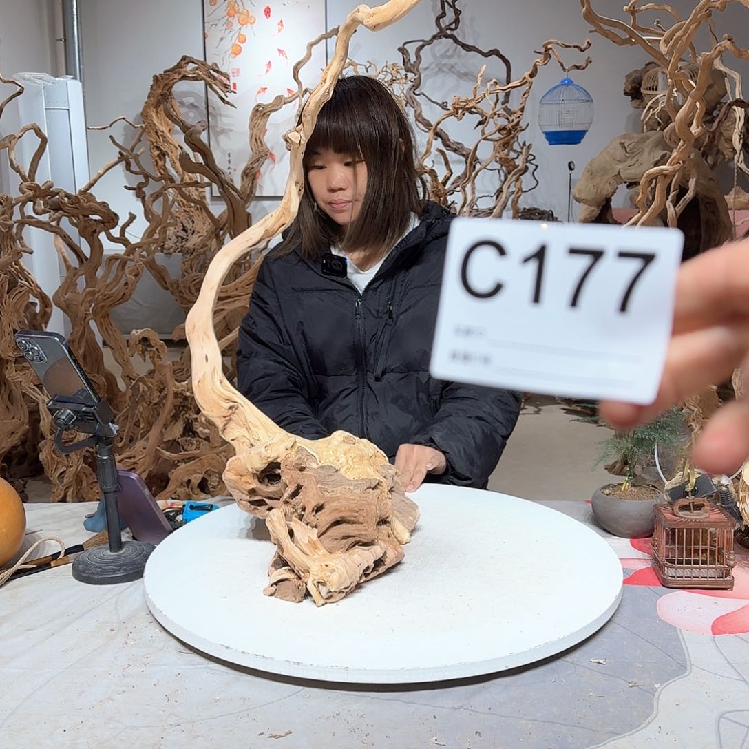 风车木（黑檀木）米****影