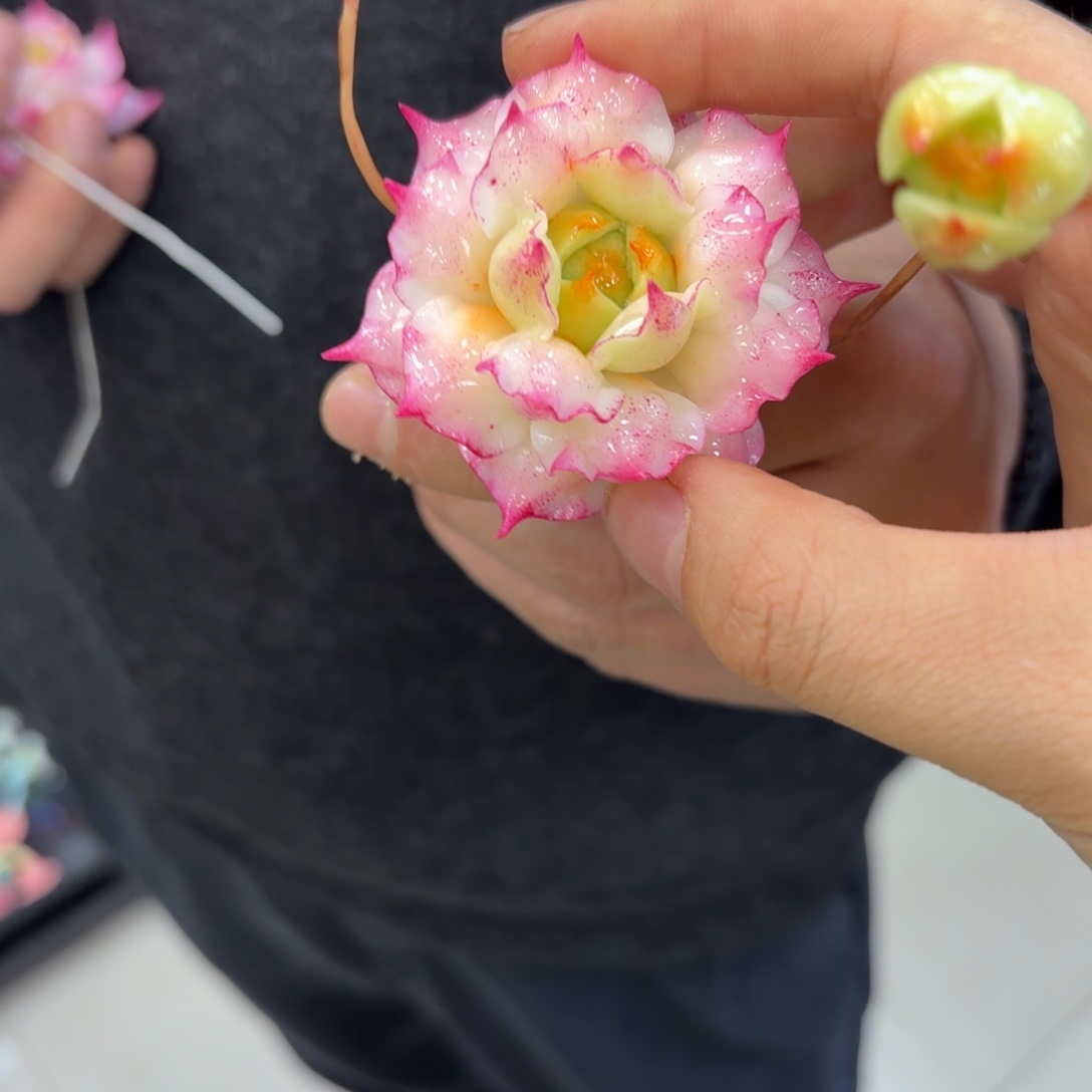 树脂制品40号哦哦哦哦哦哦哦