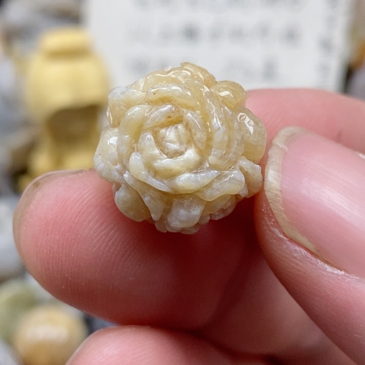 颈饰未镶嵌硅化珊瑚（珊瑚玉）通孔