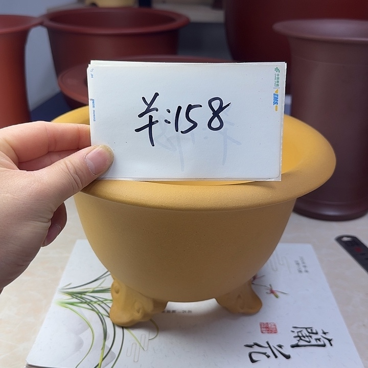 春秋花盆精品兰盆
