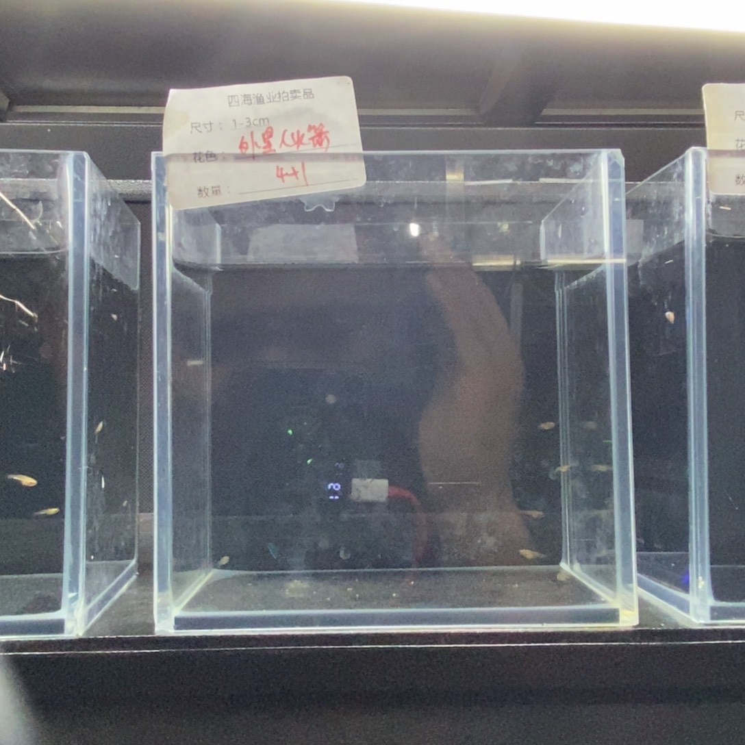 斗鱼包活不包损所见即所得057