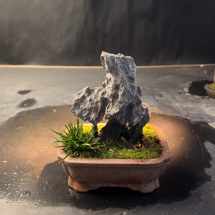 手工制作宋山盆景009