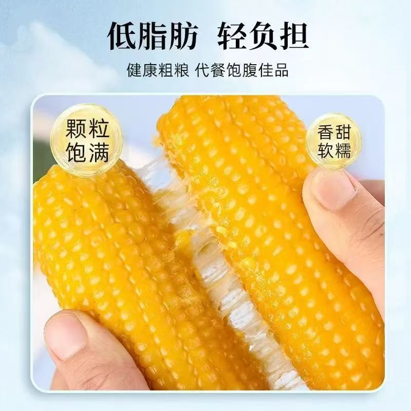 【试吃3支】头茬东北糯玉米新鲜真空香甜软糯整箱发10支5-5.5斤含箱