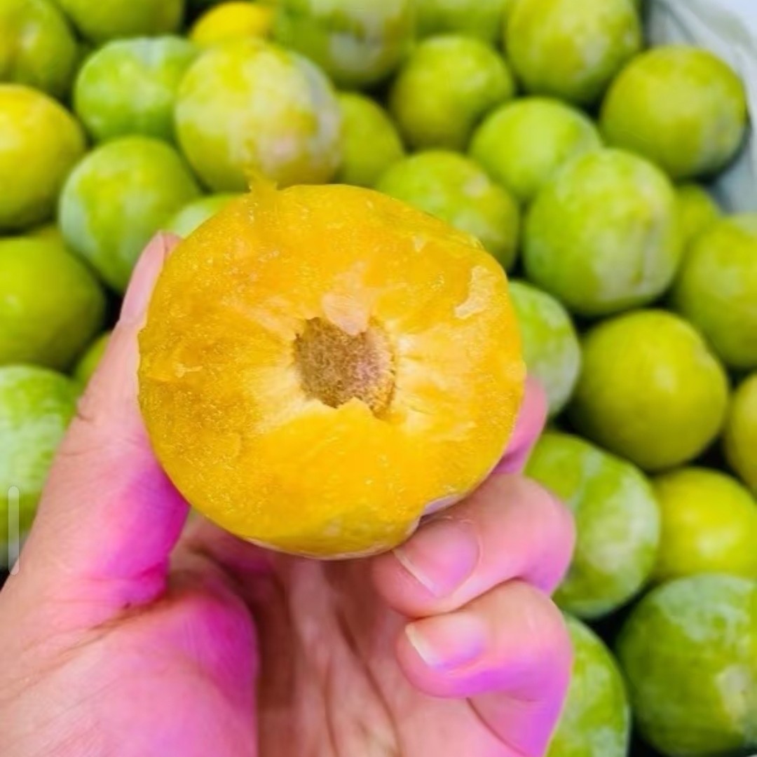 蜂糖李子一份一斤