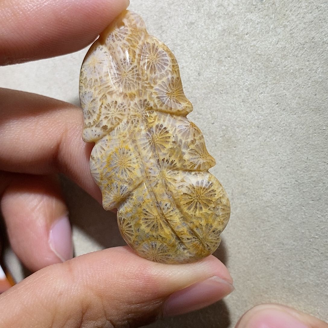 硅化珊瑚（珊瑚玉）手链未镶嵌羽毛73