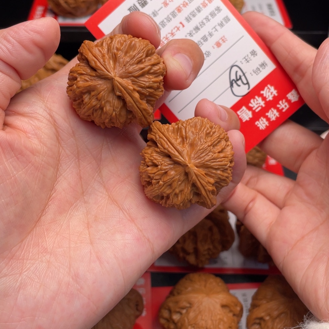 文玩核桃把件白狮子37