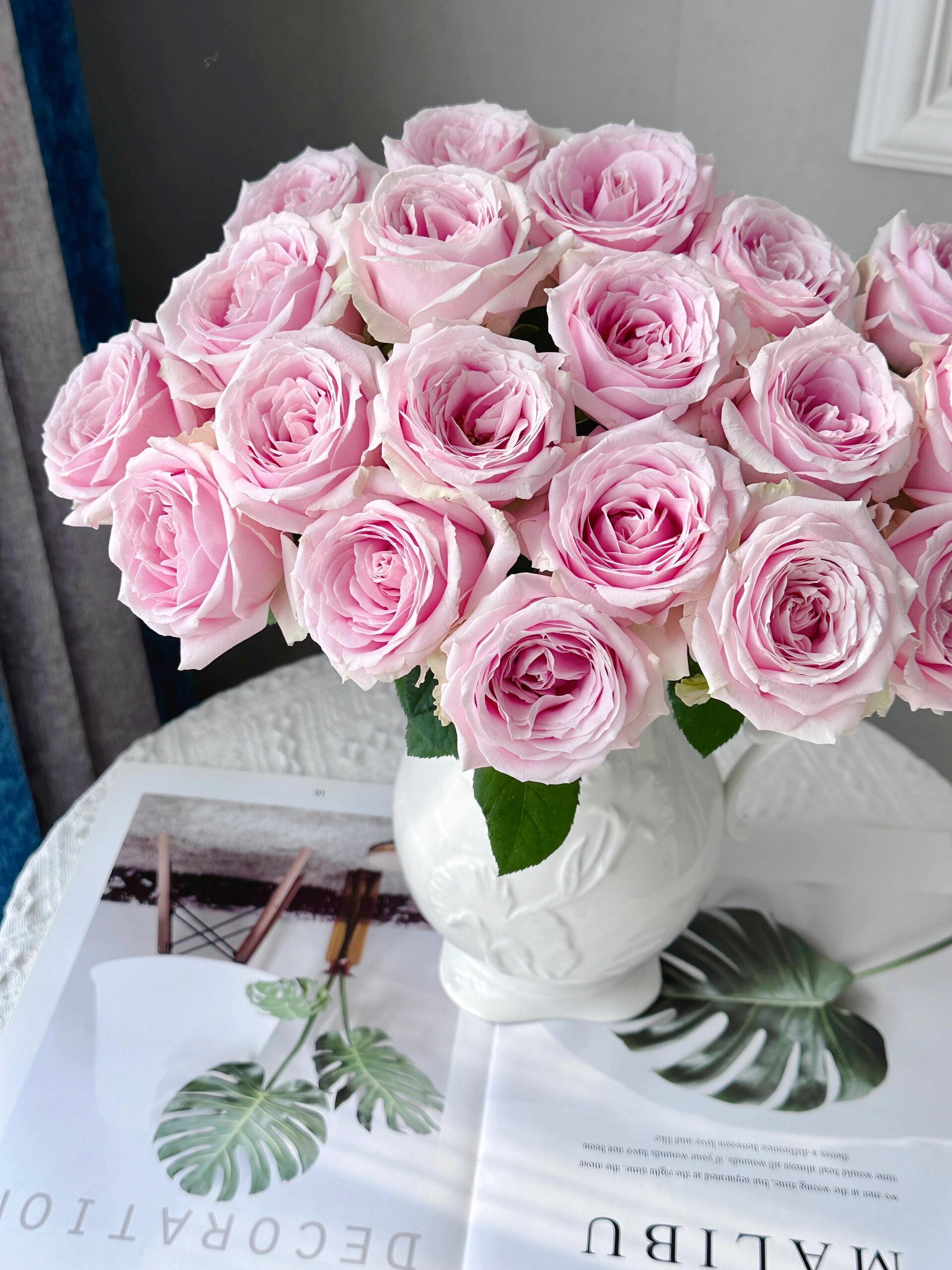 【向云端】粉红雪山-单头玫瑰(注意：带包装醒花)