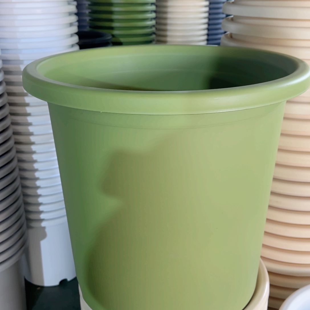 树脂55口无拖果绿2个