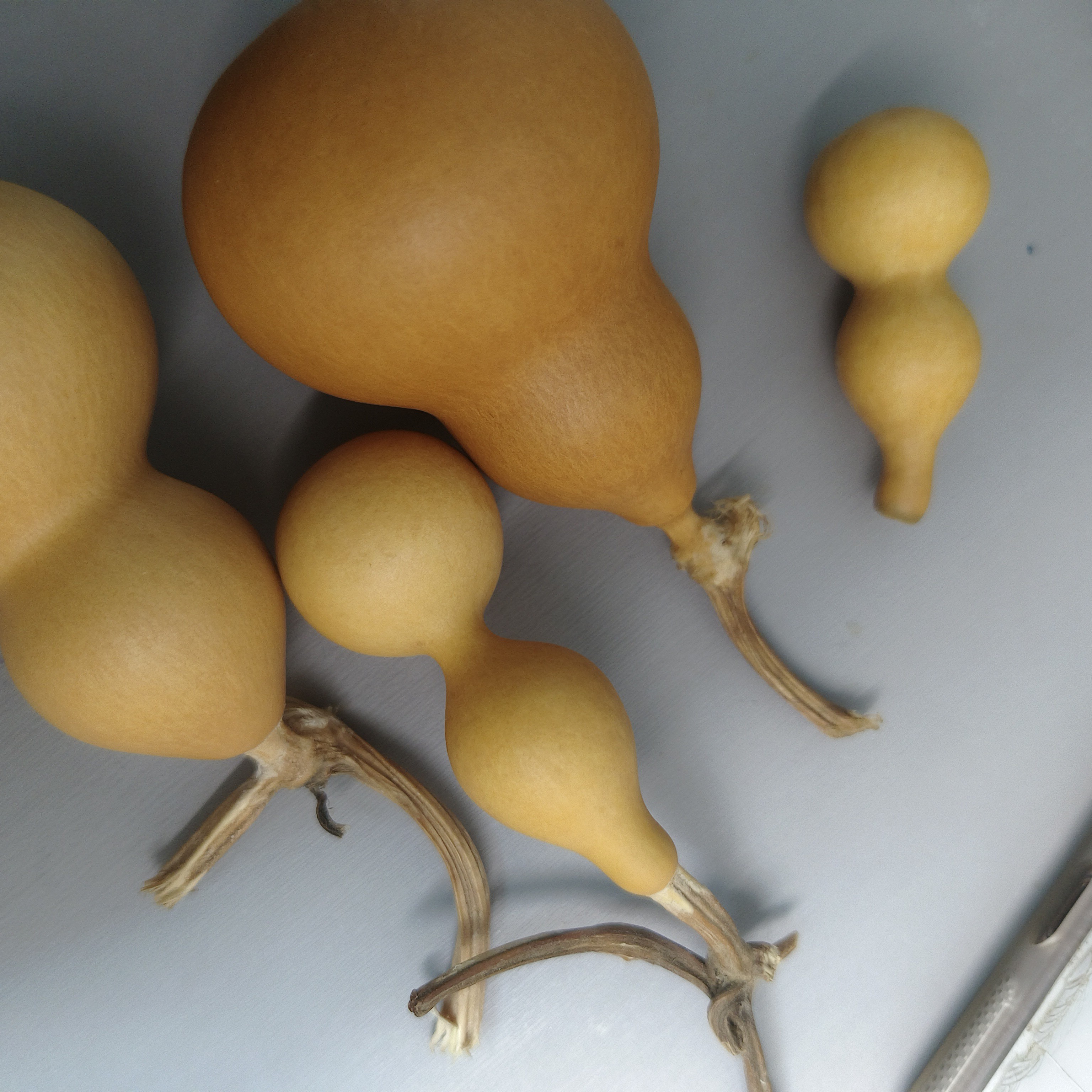 天然手工雕刻文玩手捻小葫芦挂件摆件