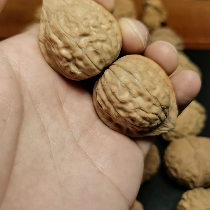 吊坠文玩核桃34全品龟甲纹