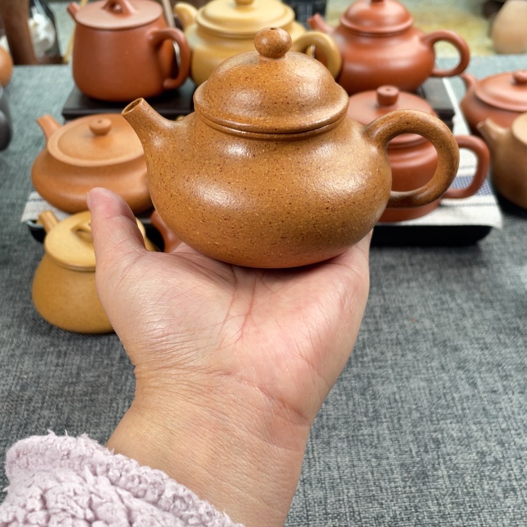 紫砂茶壶黄降坡容天全手30目190
