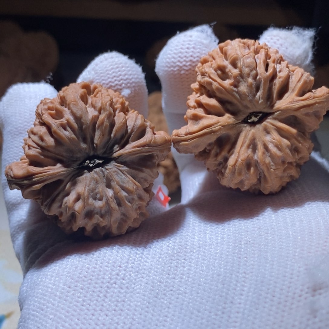 文玩核桃把件于****）40.5南疆石