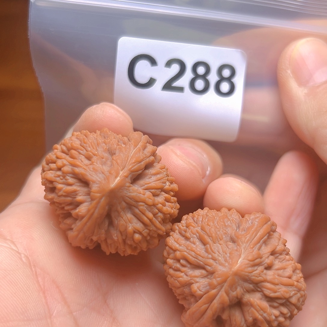 文玩核桃吊坠34➕ 蒜头