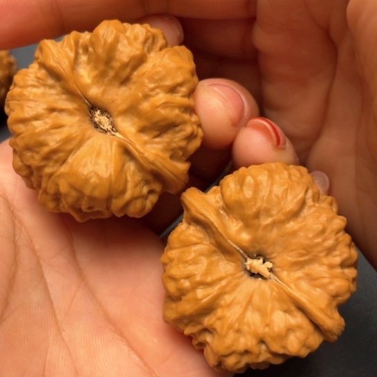 文玩核桃把件41蛤蟆头