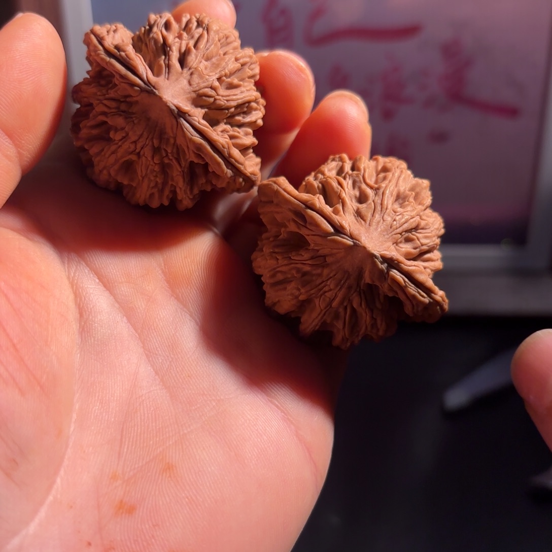 一***阳核桃43蜡皮虎头山地果