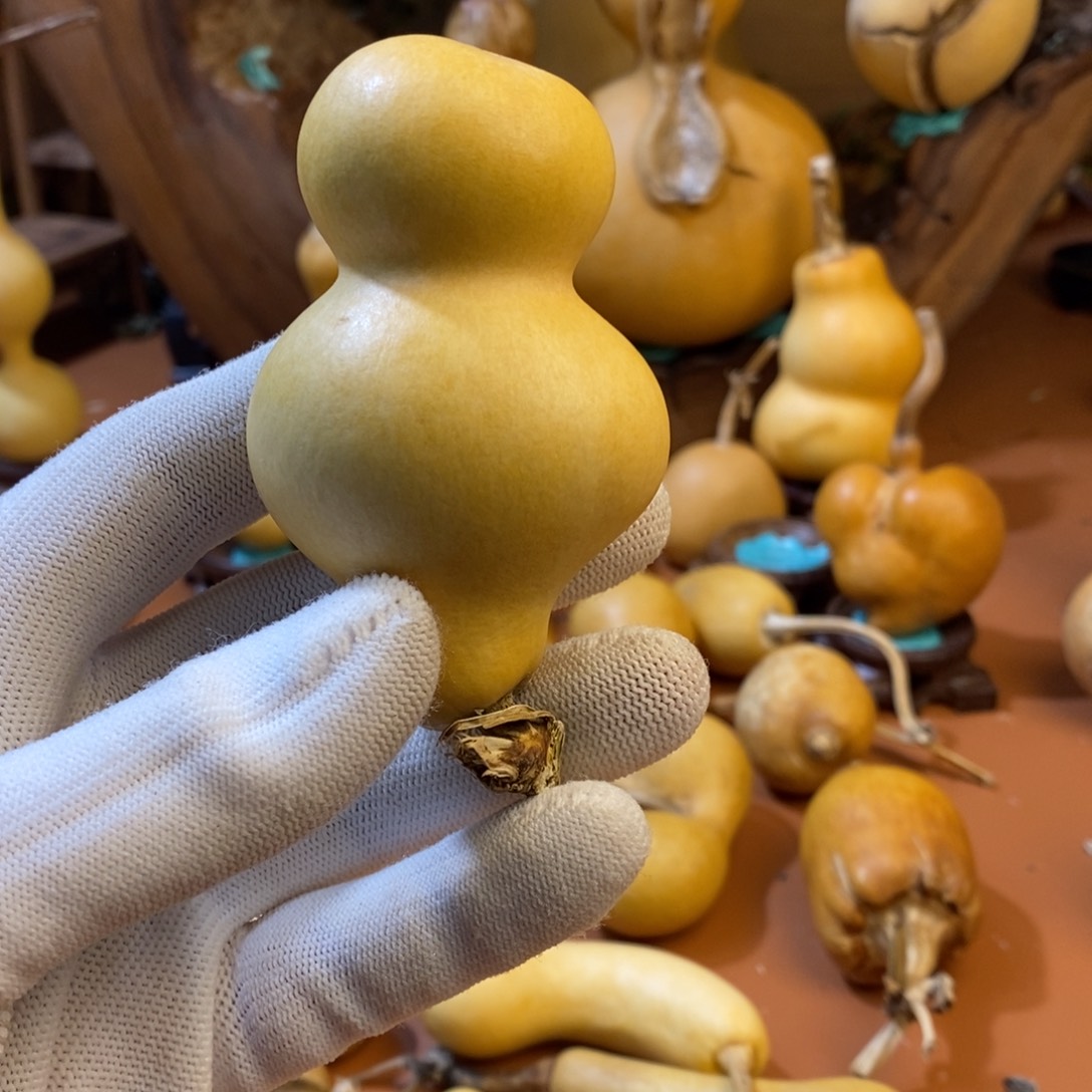 瑞***禄教练咯教练咯哦经理