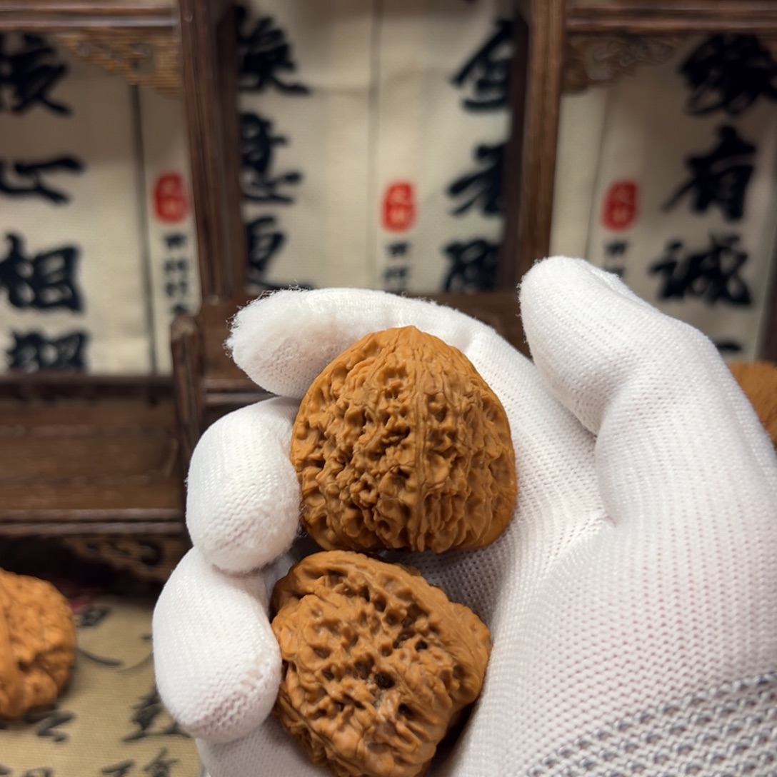 小***狂涿鹿县南将石山地果