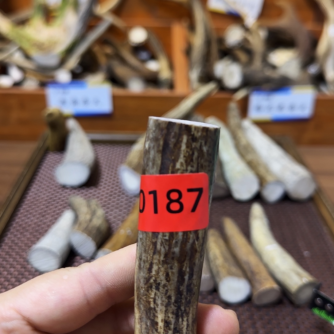 手串/手链鹿骨角尖0187