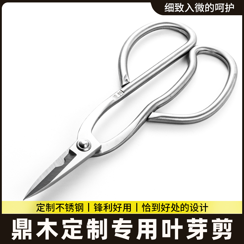 鼎木 叶芽剪 小枝细枝盆景修剪造型制作专用工具不锈钢芽剪刀园艺
