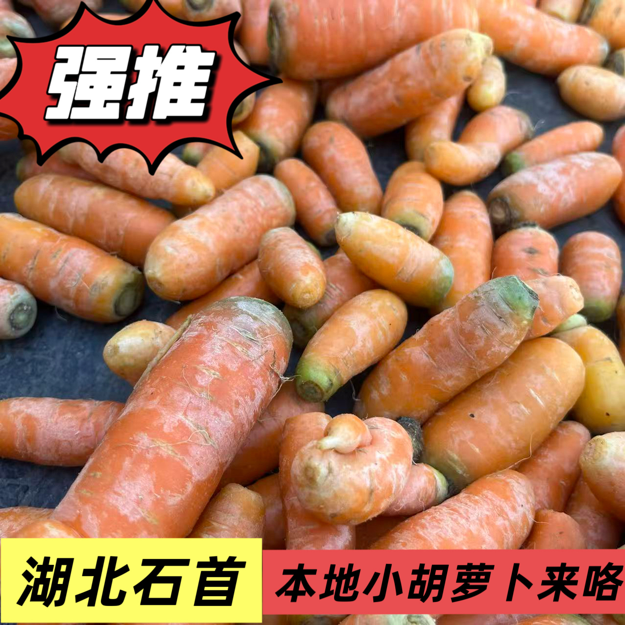 (小袁自选)湖北石首本地小胡萝卜农家自种新鲜胡萝卜